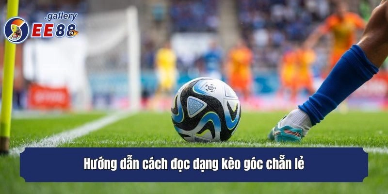 Hướng dẫn cách đọc dạng kèo góc chẵn lẻ