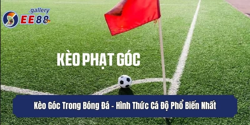 Kèo Góc Trong Bóng Đá - Hình Thức Cá Độ Phổ Biến Nhất
